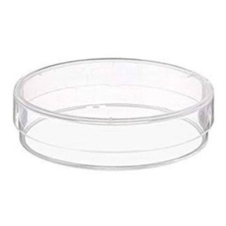 glass-petri-dish-culture-dish-17614