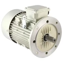 Crompton 1 HP Single Phase Electric Motor GF7020 Image-1