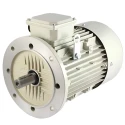 Crompton 1 HP Single Phase Electric Motor GF7020 Image-4