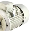 Crompton 1 HP Single Phase Electric Motor GF7020 Image-6