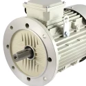 Crompton 3 HP Single Phase Electric Motor GF7048 Image-5