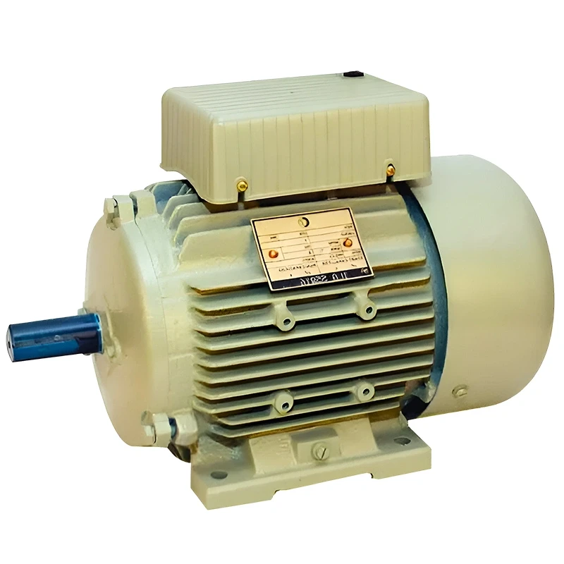 Crompton 2 HP Single Phase Electric Motor GF7017 Image-4