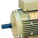 Crompton 3 HP Single Phase Electric Motor GF7041 Image-5