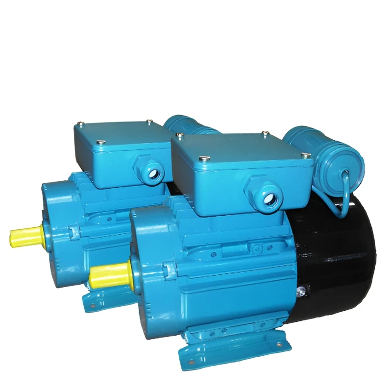 Crompton 0.75 HP Single Phase Electric Motor GF7240 Image-2