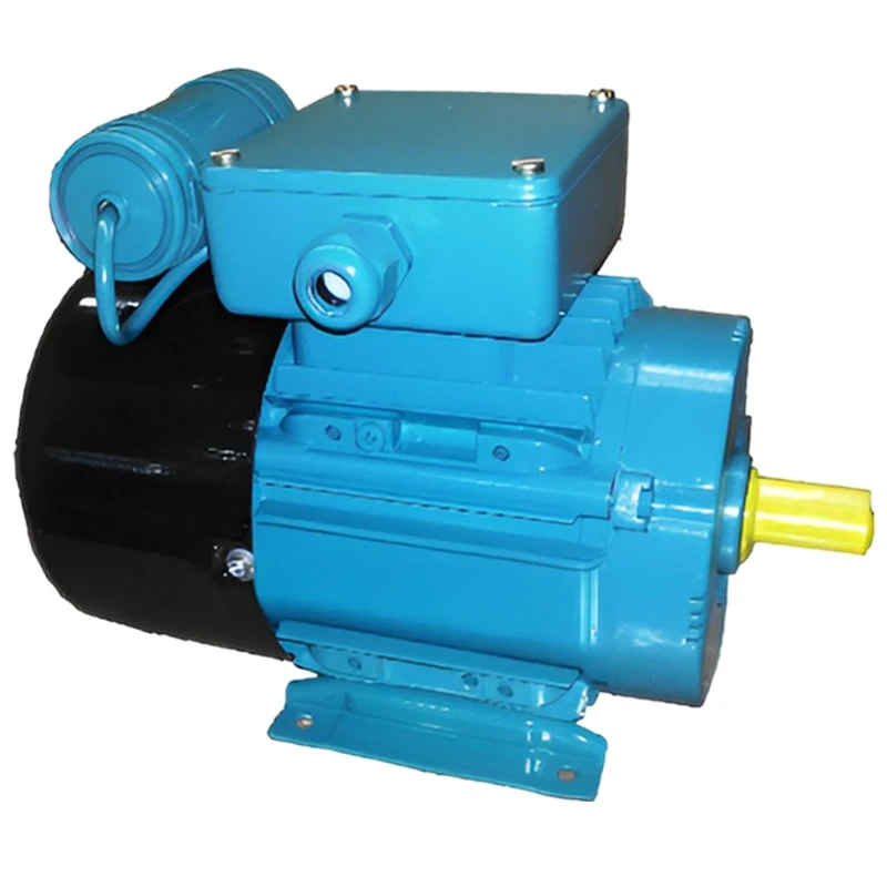 Crompton 1 HP Single Phase Electric Motor GF7503 Image-4