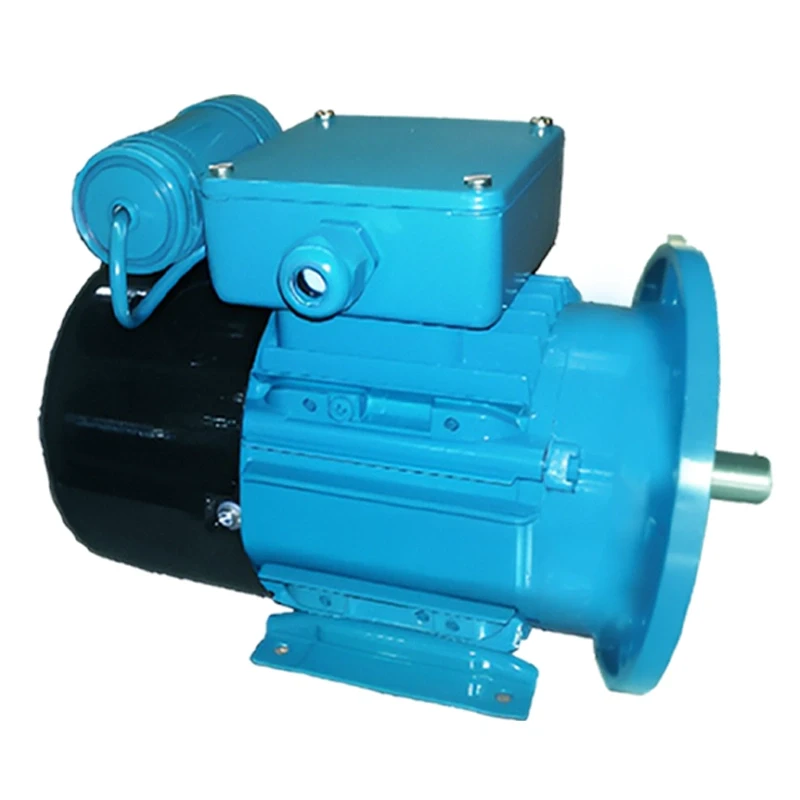 Crompton 0.25 HP Single Phase Electric Motor GF7526 Image-4