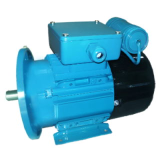 Crompton 1 HP Single Phase Electric Motor GF7508 Image-1