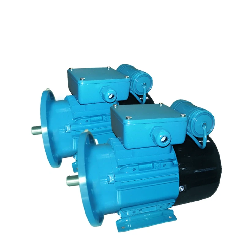 Crompton 1 HP Single Phase Electric Motor GF7216 Image-2