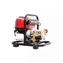 Shwarya 4-Stroke GX35 Portable Power Sprayer Engine with Brass Pump & Gun