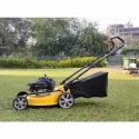 Shwarya Engine-Type Lawncare Lawn Mower