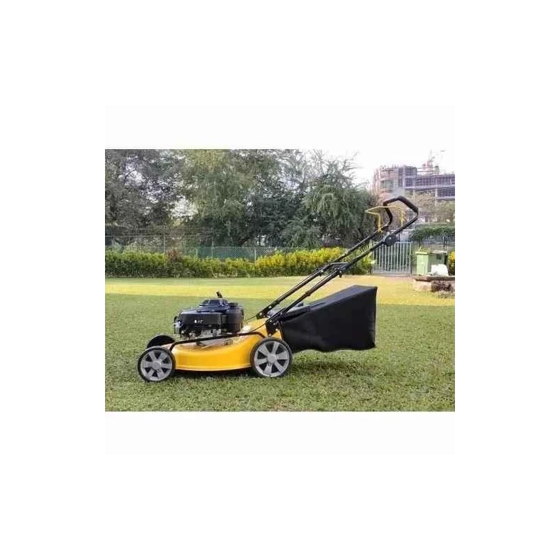 Shwarya Engine-Type Lawncare Lawn Mower