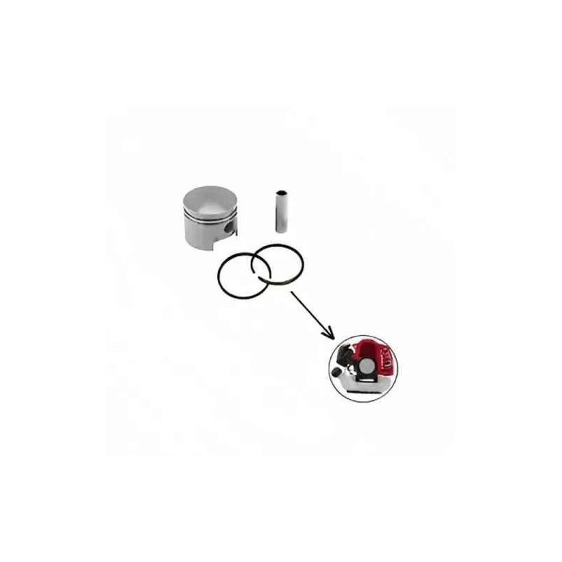 Shwarya GX50 Piston Kit for Earth Auger
