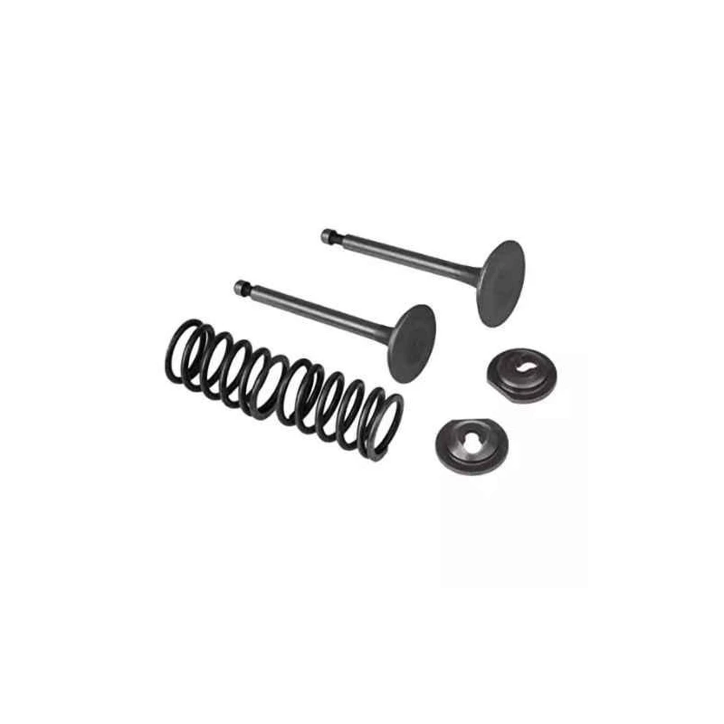 Shwarya 4-Stroke Tappet Valve for Earth Auger & Brush Cutter