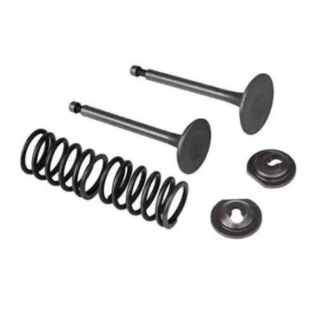 Shwarya 4-Stroke Tappet Valve for Earth Auger & Brush Cutter