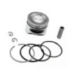 Shwarya 4-Stroke 139F Piston Kit for Earth Auger & Brush Cutter, 5240799
