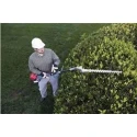 Greenleaf 50CC 4-Stroke 6-in-1 Brush Cutter with Weeder