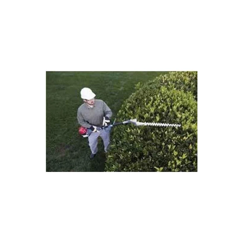 Greenleaf 2.5HP 52CC 2-Stroke 6-in-1 Brush Cutter with Weeder