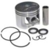 Greenleaf Cylinder Kit for 58CC Chain Saw, CSW-58-001