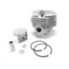 Greenleaf Carbon Cylinder Kit Set for Stihl Chain Saw MS 170, CYL-MS170