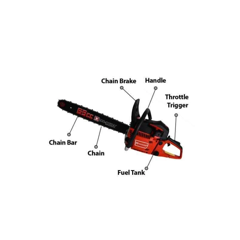 Xtra Power 1.7kW 65cc Petrol Operated Chain Saw XPT-469 image-2