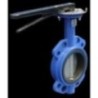 Cast Iron Butterfly Valve