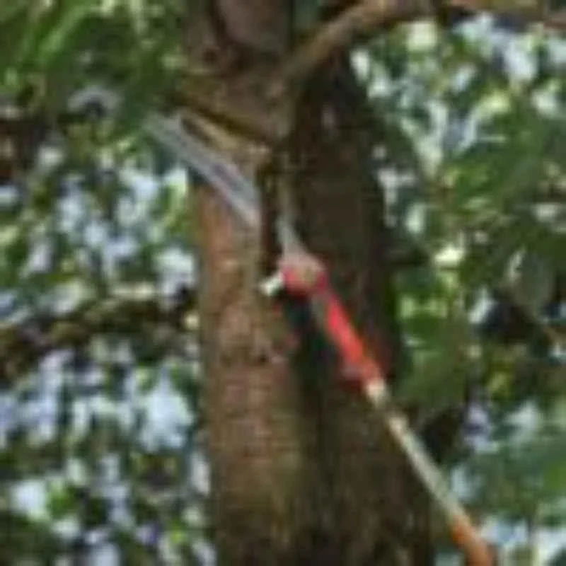 Wolf Garten Multi-Star Power Cut Pruning Saw Combo Saw Pro 370 image-5