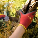 Wolf Garten Bed Soil Hand Gloves Size 8 GH BO 8 image-5