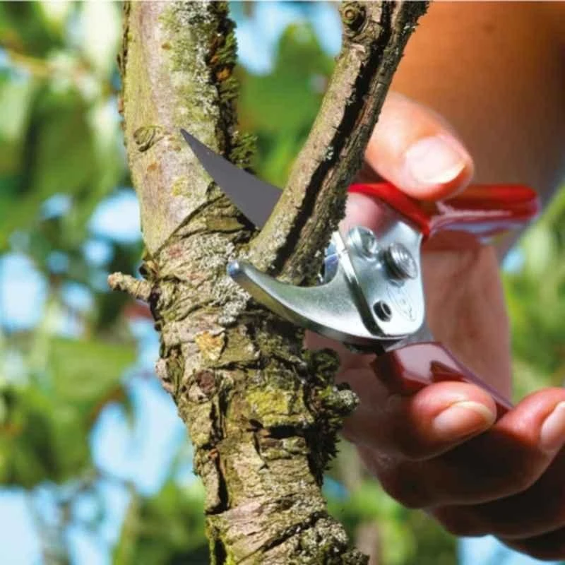 Wolf Garten Action Set RS EN RR EN image-7