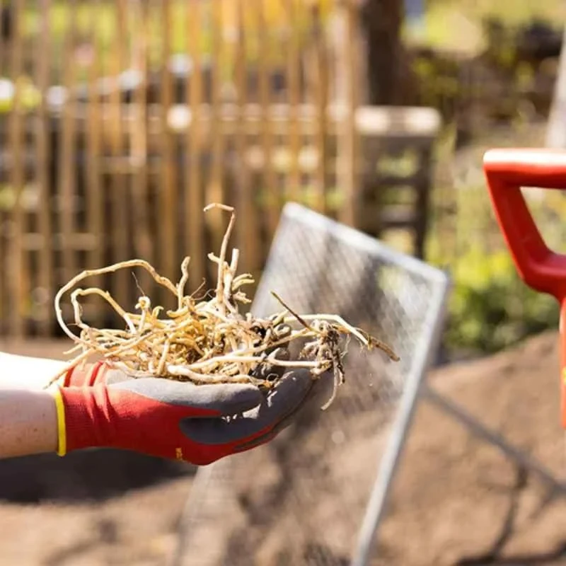 Wolf Garten Bed Hand Gloves Size 7 GH BO 7 image-6