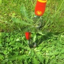 Wolf Garten Multi Star Weeder without Handle IW M image-3