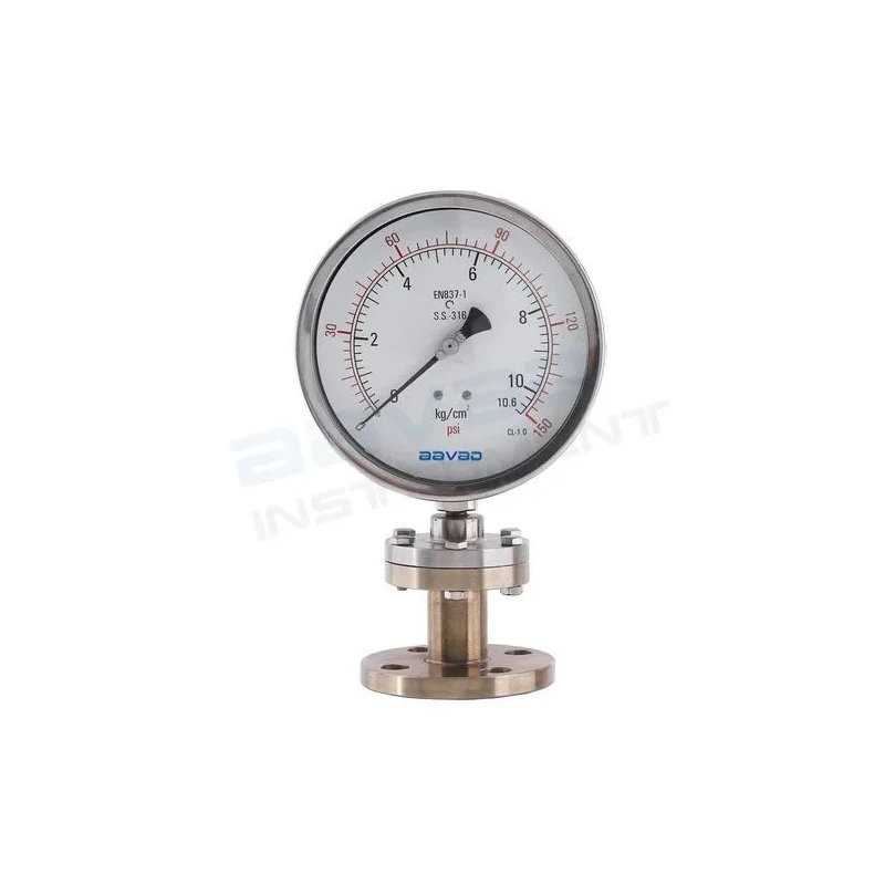 flanged-diaphragm-seal-pressure-gauge-18481