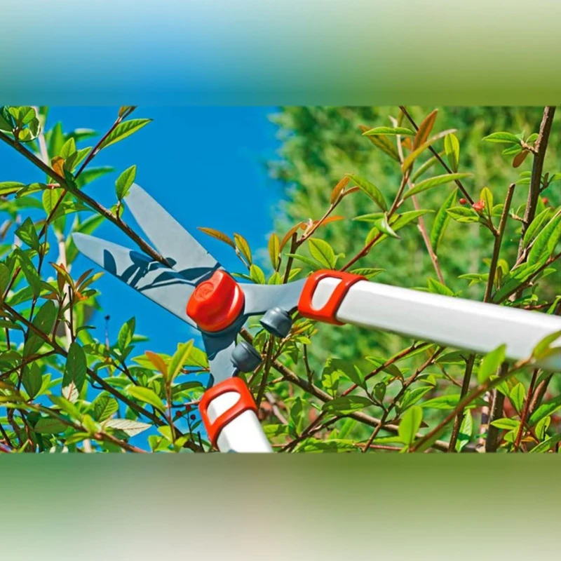 Wolf Garten Telescopic Hedge Trimmer HS 1000 T Aluminium Design Poles image-4