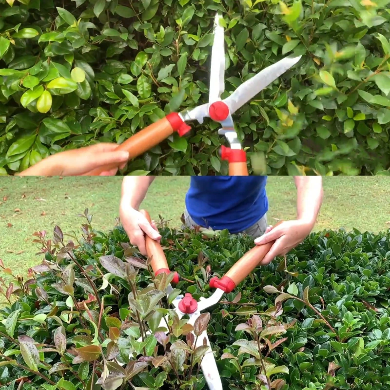 Wolf Garten Hedge Shear with Wooden Handle HS W image-3