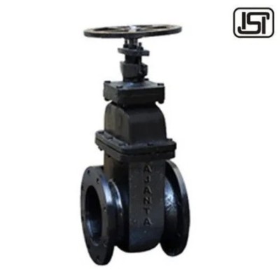 cast-iron-steel-gate-valve-18499