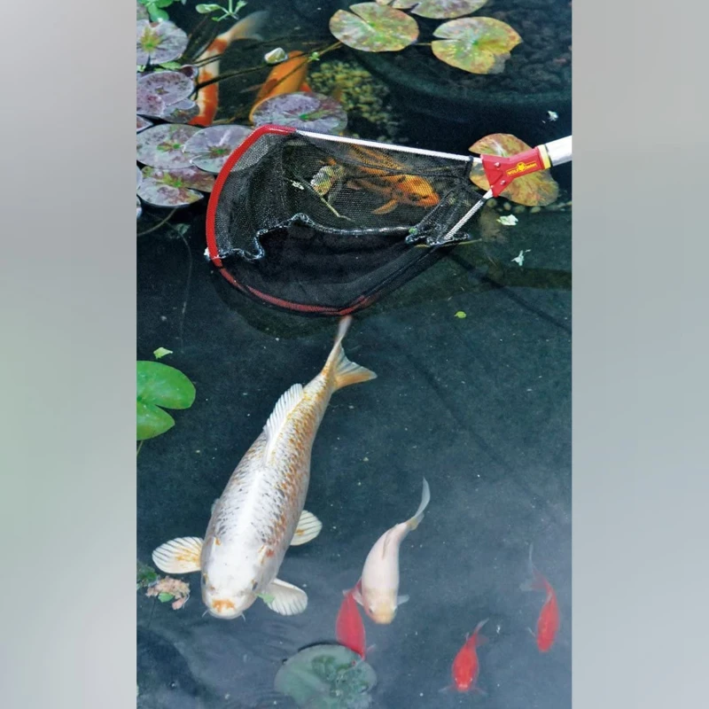 Wolf Garten Multi Star Skim Net WF M image-3