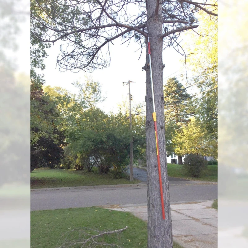 Wolf Garten Multi Star Vario Telescopic Handle ZM V4 image-3