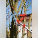 Wolf Garten Tree Lopper without Handle RC VM image-3