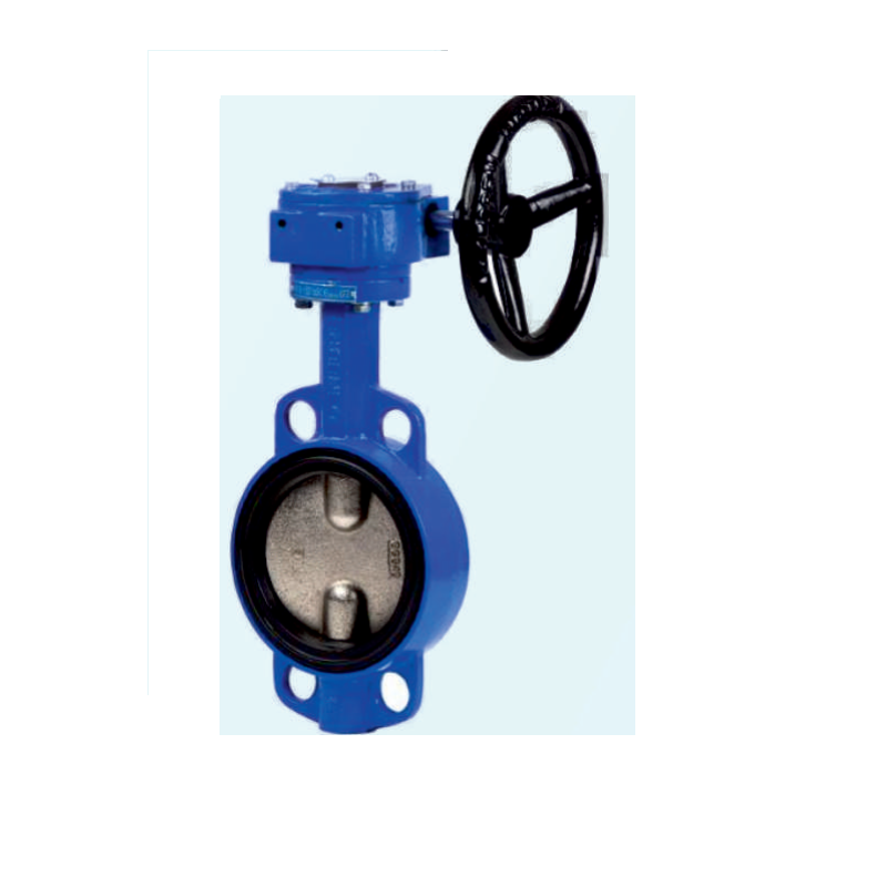 butterfly-valve-with-gear-operated-c-i-disc-50-mm-15613