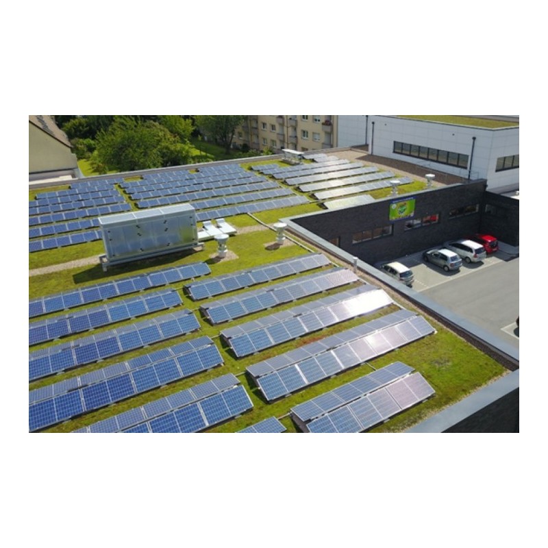 green-roof-in-elevated-solar-rooftop-pv-system-15682