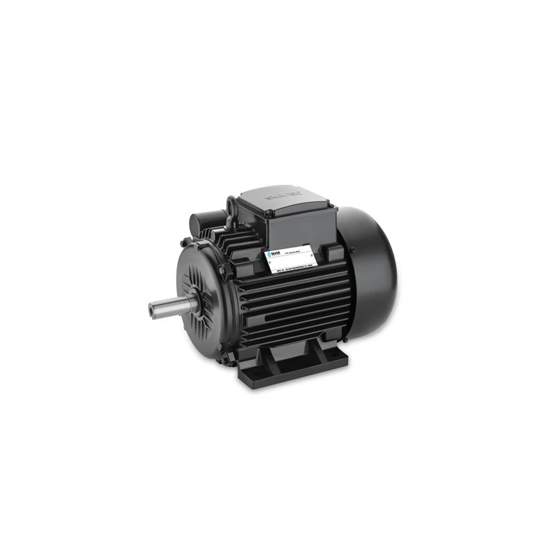 silver-0-5-hp-0-37kw-foot-mounted-1-phase-induction-motor-sem00-504p1b-ft-18556