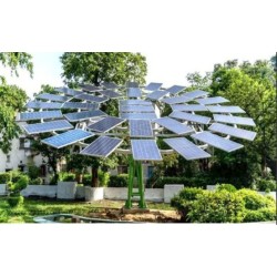 solar-tree-plant-15719