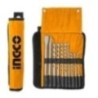 Ingco 10 Pcs Hammer Drill Bits & Chisel Set, AKD2101