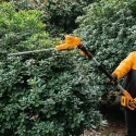 Buy Ingco CPTS201681 Lithium-Ion Pole Saw Hedge Trimmer online
