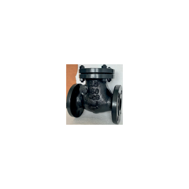 flange-end-swing-check-valve-12682