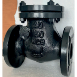 flange-end-swing-check-valve-12682