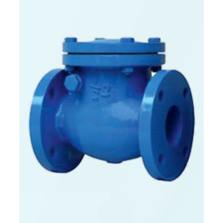 flange-swing-end-check-valve-cast-iron-non-return-50-mm-15993