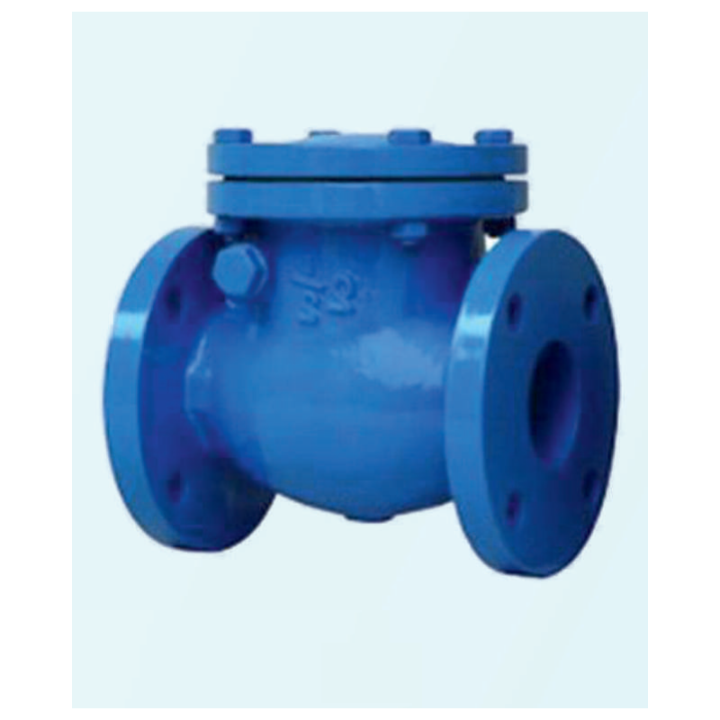 flange-swing-end-check-valve-cast-iron-non-return-50-mm-15993