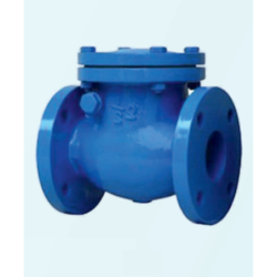 flange-swing-end-check-valve-cast-iron-non-return-50-mm-15993