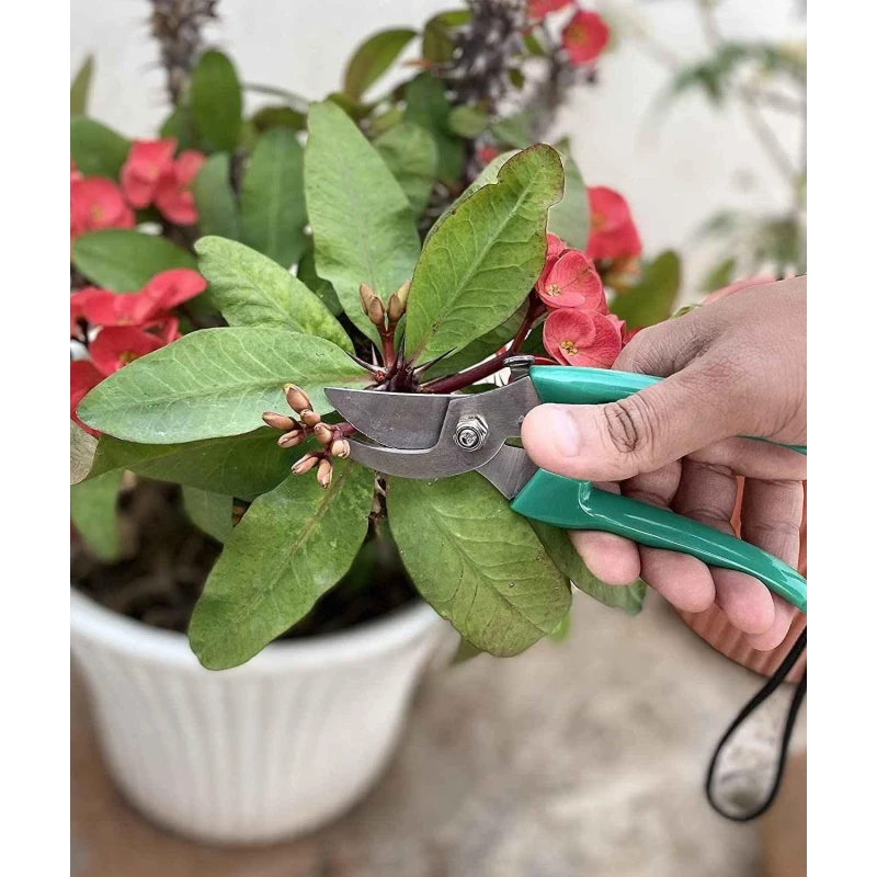 Hillgrove HGCM185M1 Gardening Pruning Hedge Shear with Trowel image-1