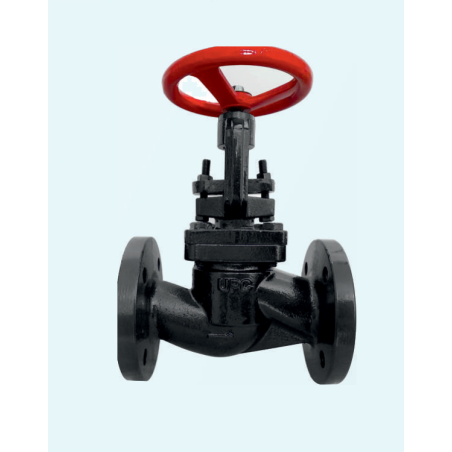 globe-valve-cast-iron-25-mm-12688